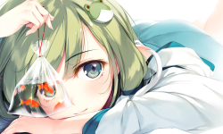 Featured image of post Hugo+Github Pages博客搭建记录